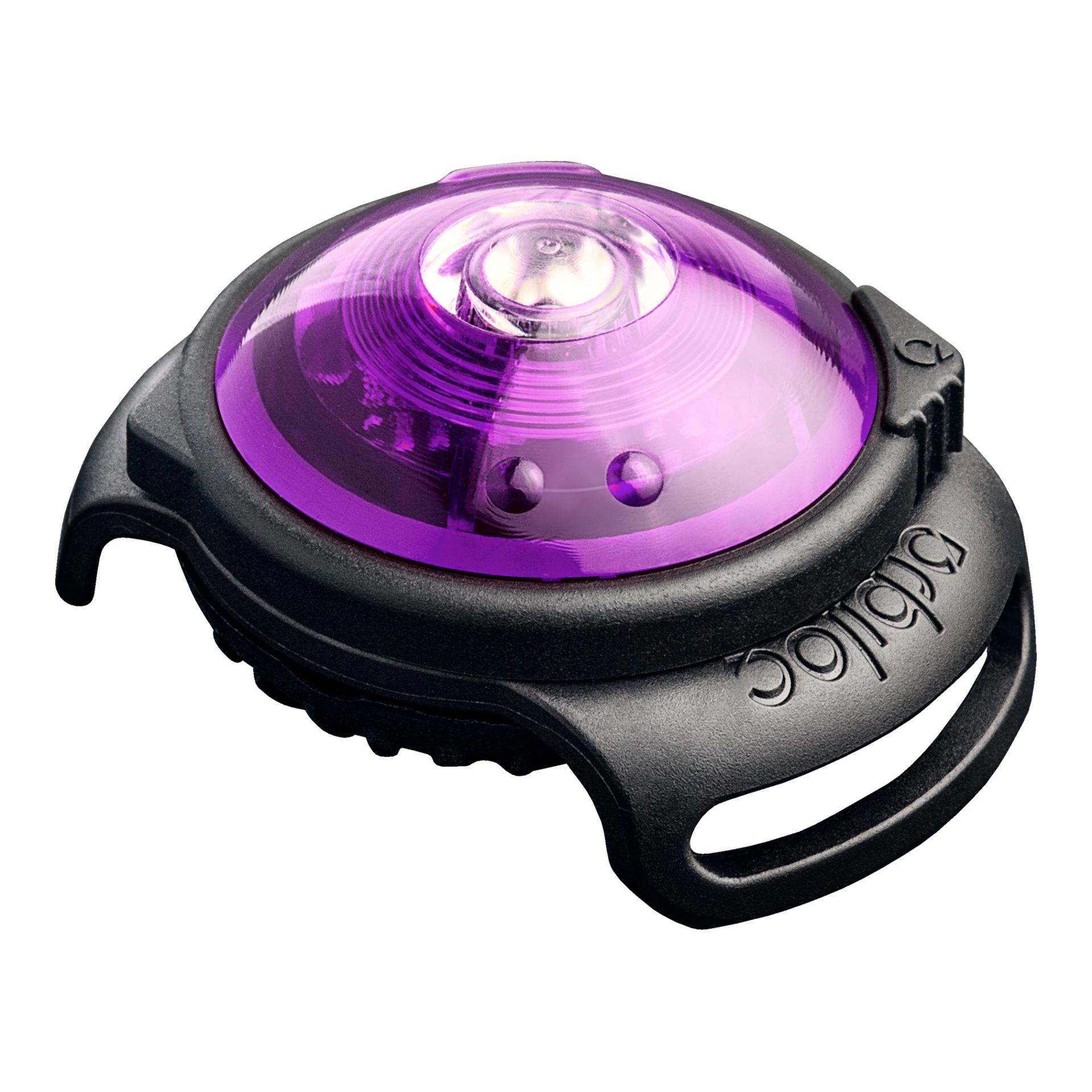 Safety Light Orbiloc Dog Dual - violett