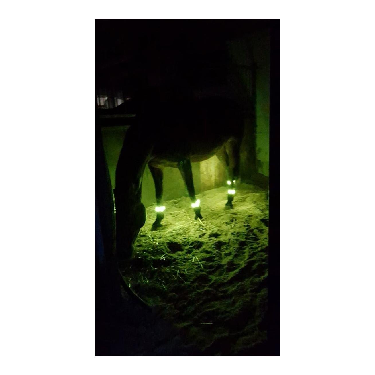 LED Leuchtgamaschen Threeple 4er-Set