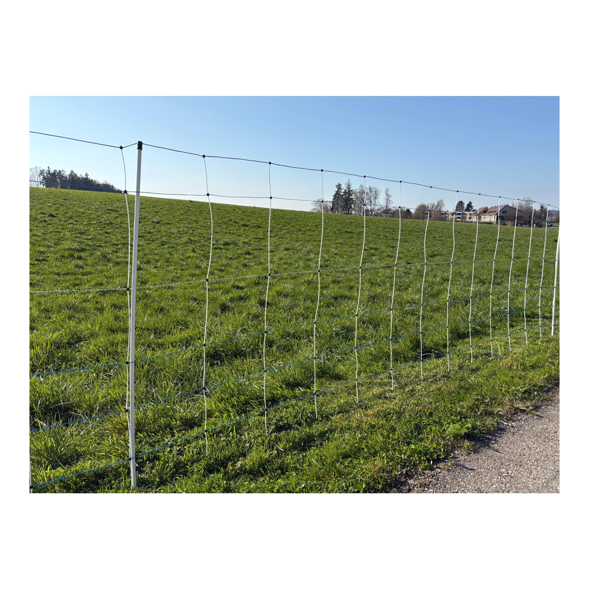 Hauptner Filet en osier "Primaflex Alpin" - pointe simple