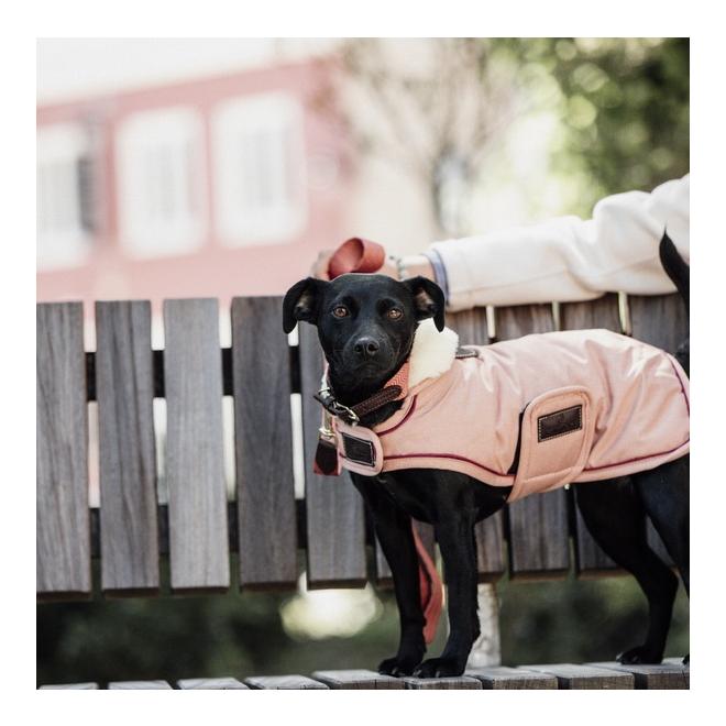 Hundemantel wasserdicht 160 g - Koralle