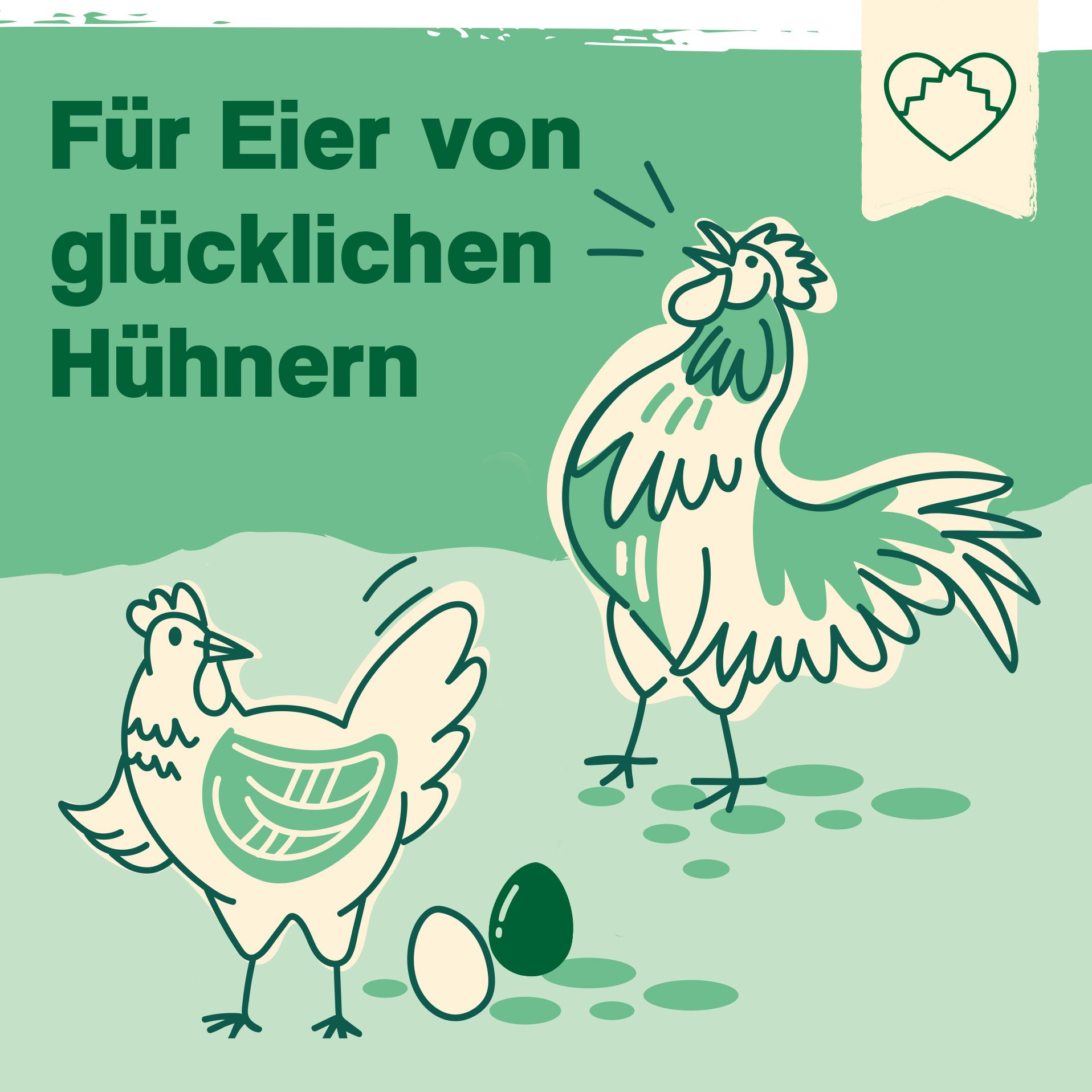 IdaPlus Mélange alimentaire pour poules - Aliment complet équilibré - Mélange pour toute l'année
