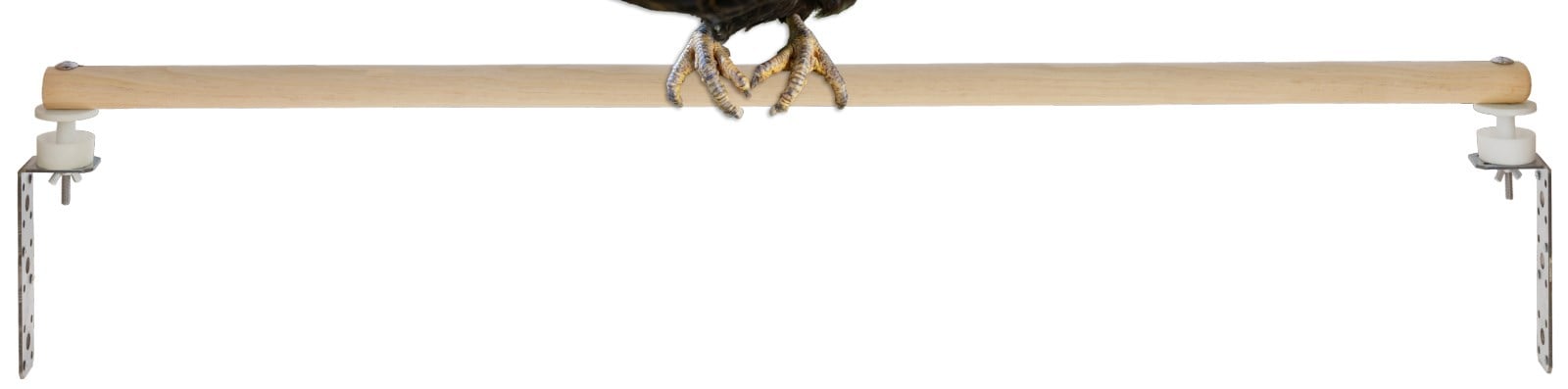 Kerbl Hobbyfarming Milbenstopp - Montageset für Hühnersitzstangen