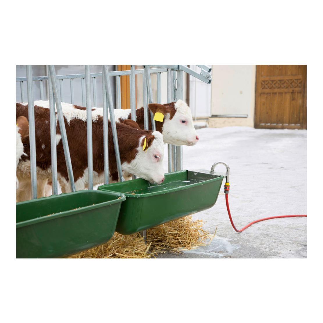 Langfuttertrog mit Schwimmer