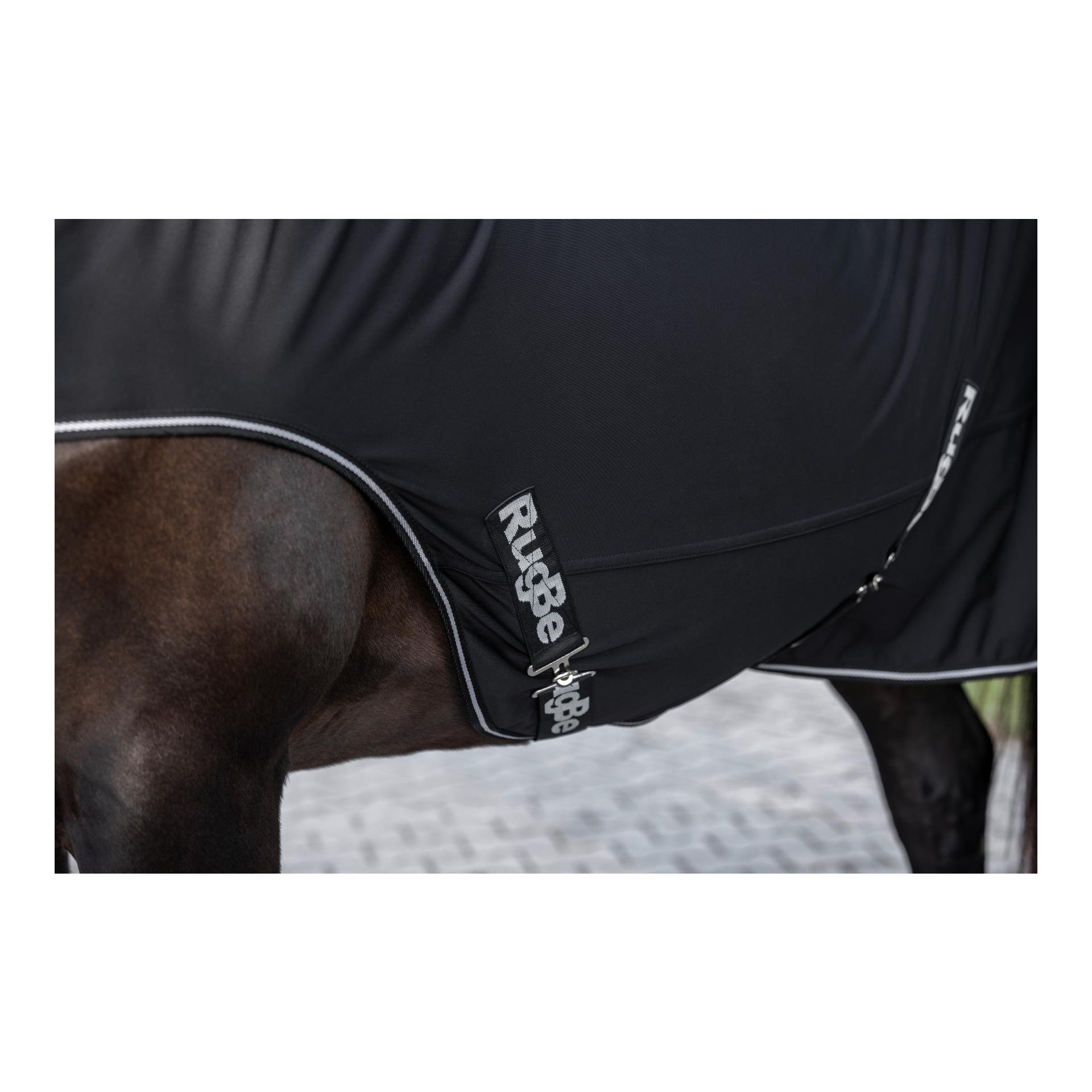 Führanlagendecke RugBe