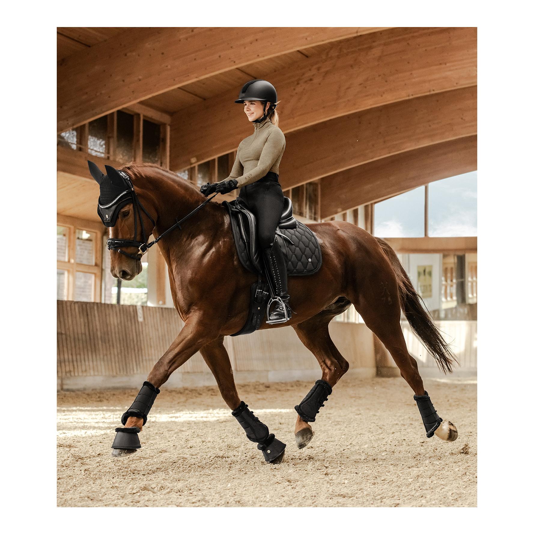 Fliegenohren Phoenix