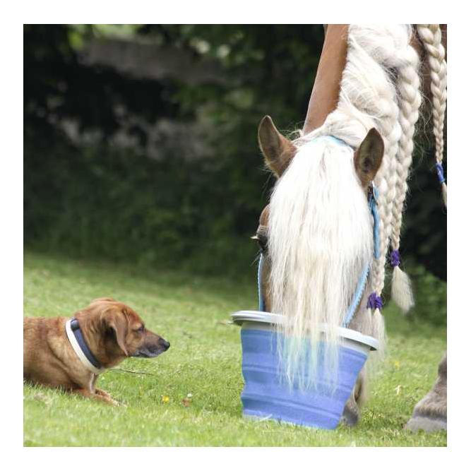 Faltbarer Eimer - azurblau