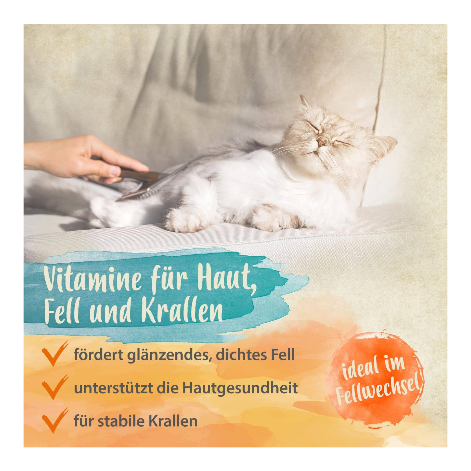 Bierhefe Tabletten - optimale Pflege für glänzendes Fell & kräftige Haut