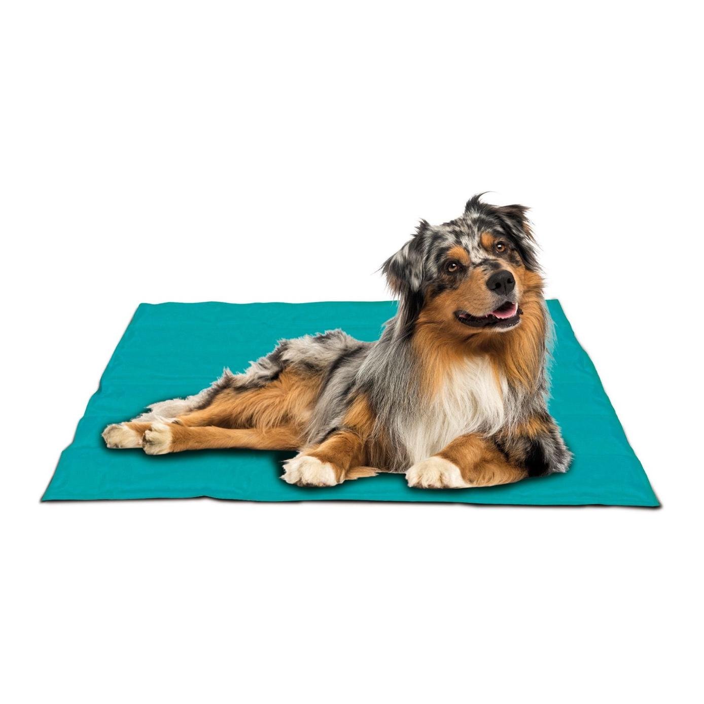 Tapis réfrigérant pour chiens