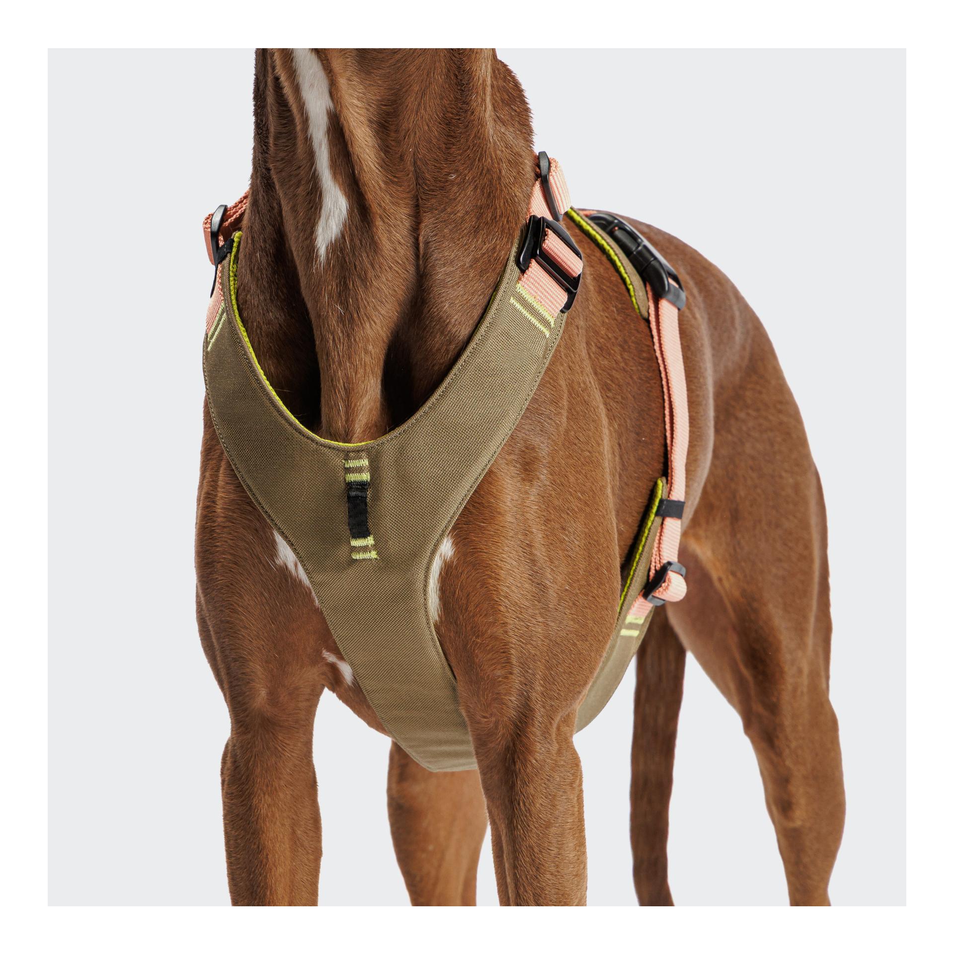 Harnais pour chien Y-2