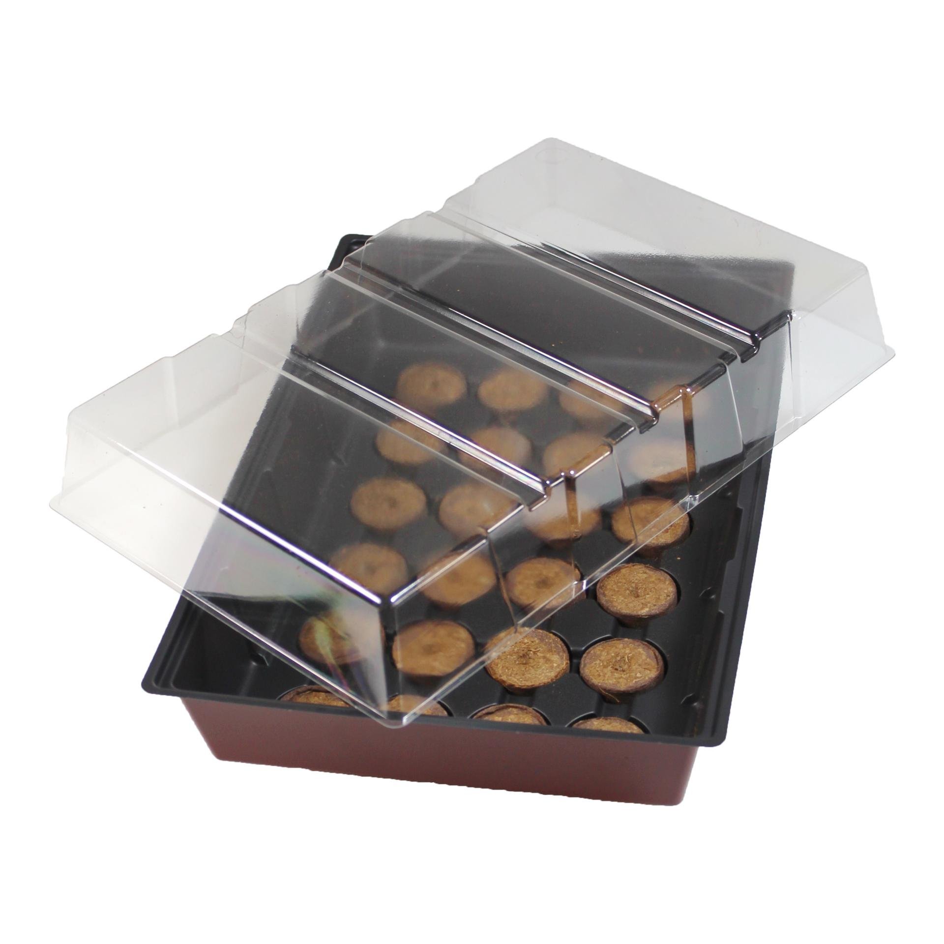 Fensterbank - Treibhaus mit Quelltabs