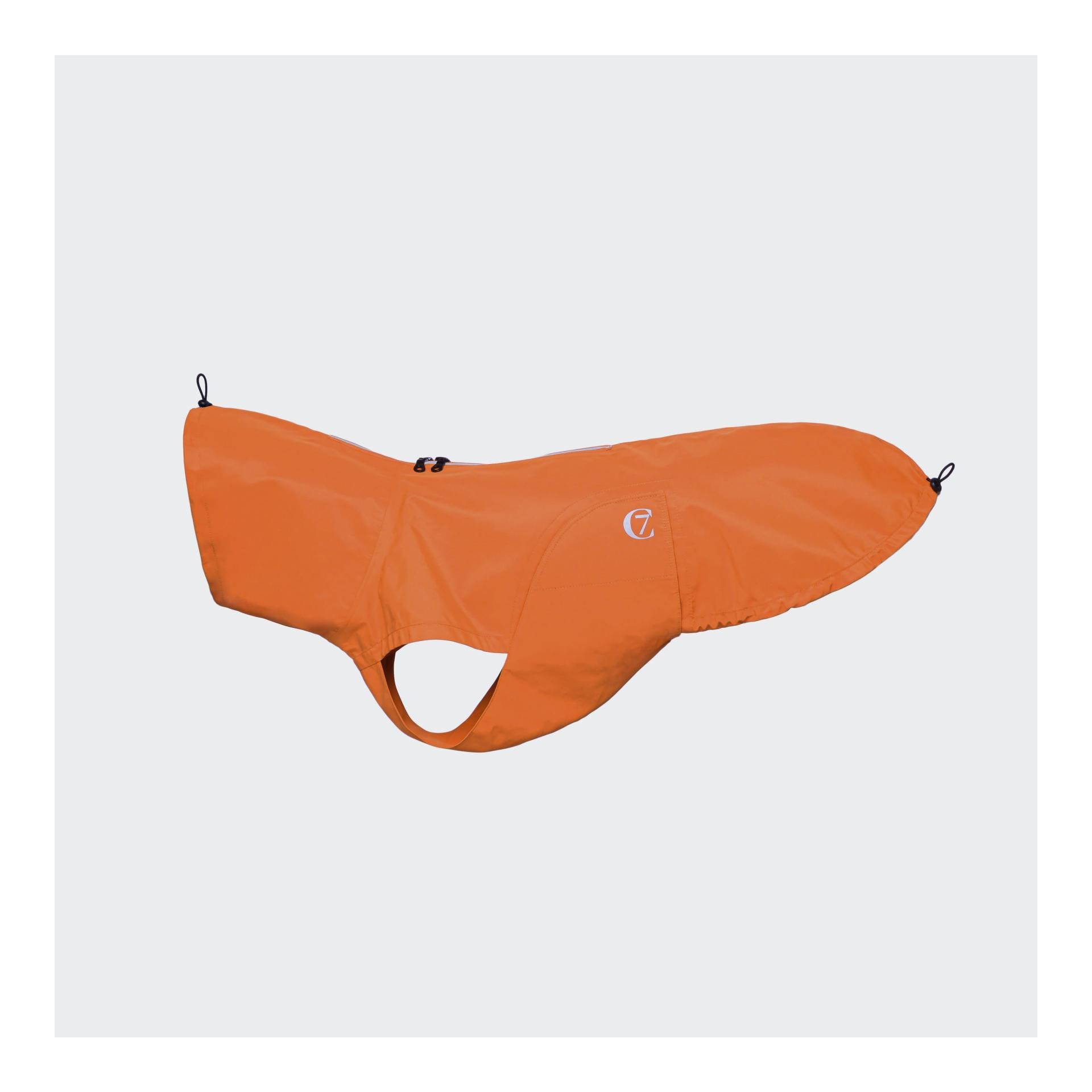 Hunderegenmantel Dublin