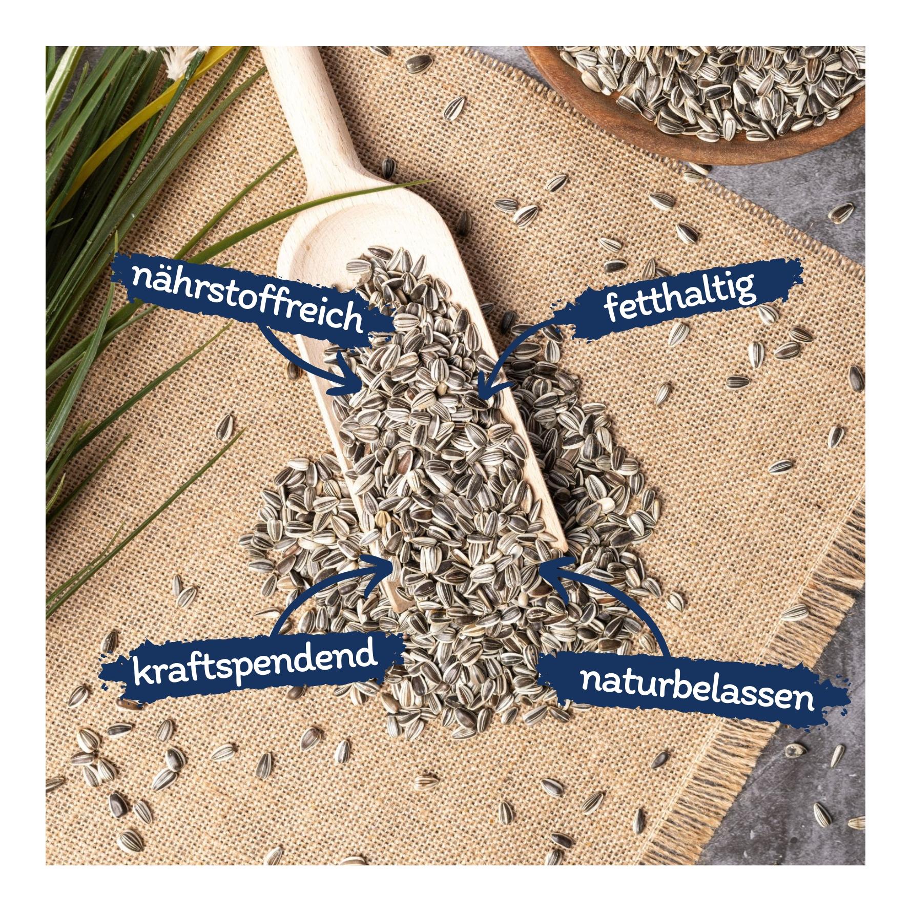 Sonnenblumenkerne gestreift