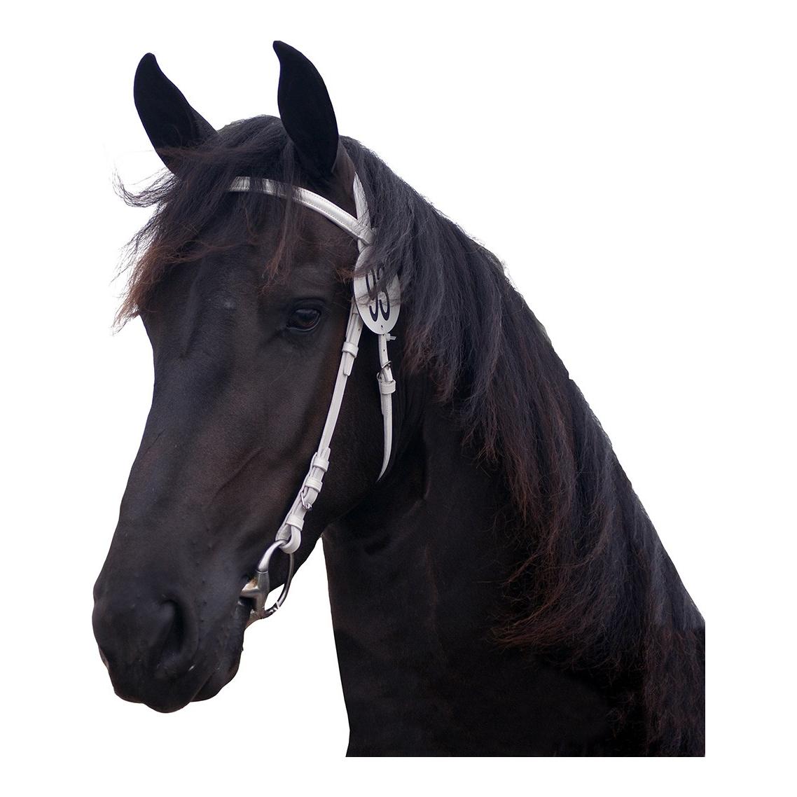 Image of QHP Showzaum - weiss bei Hauptner.ch