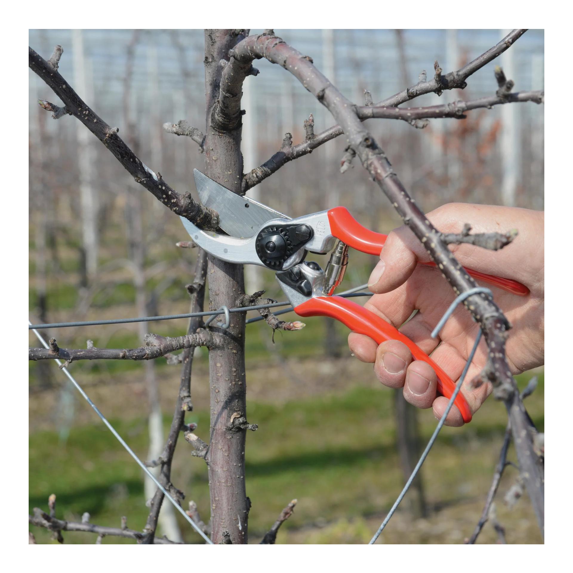 FELCO 2 Baum-, Reb- und Gartenschere