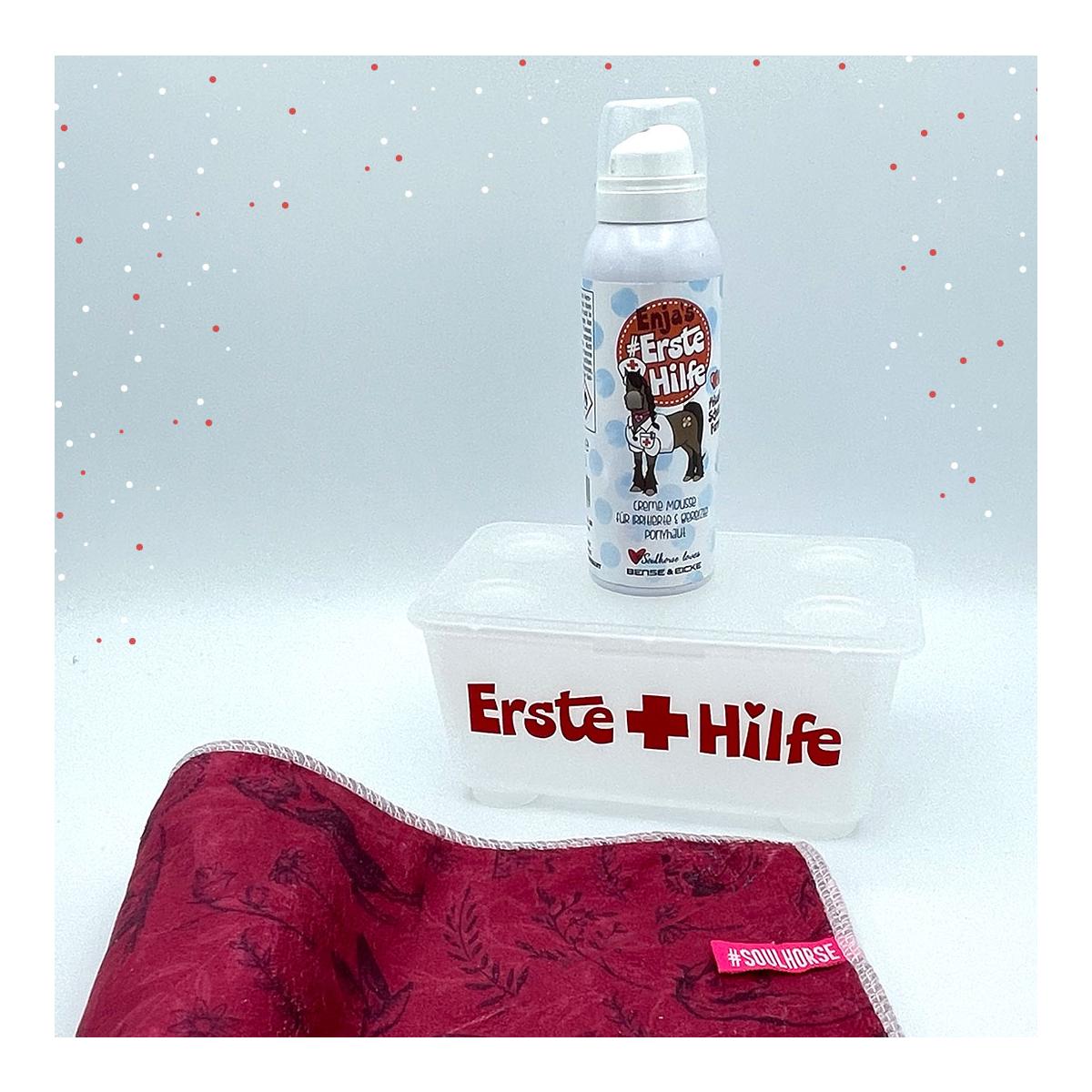 Image of Soulhorse Minibox “Stallapotheke” - Transparent - bei Hauptner.ch