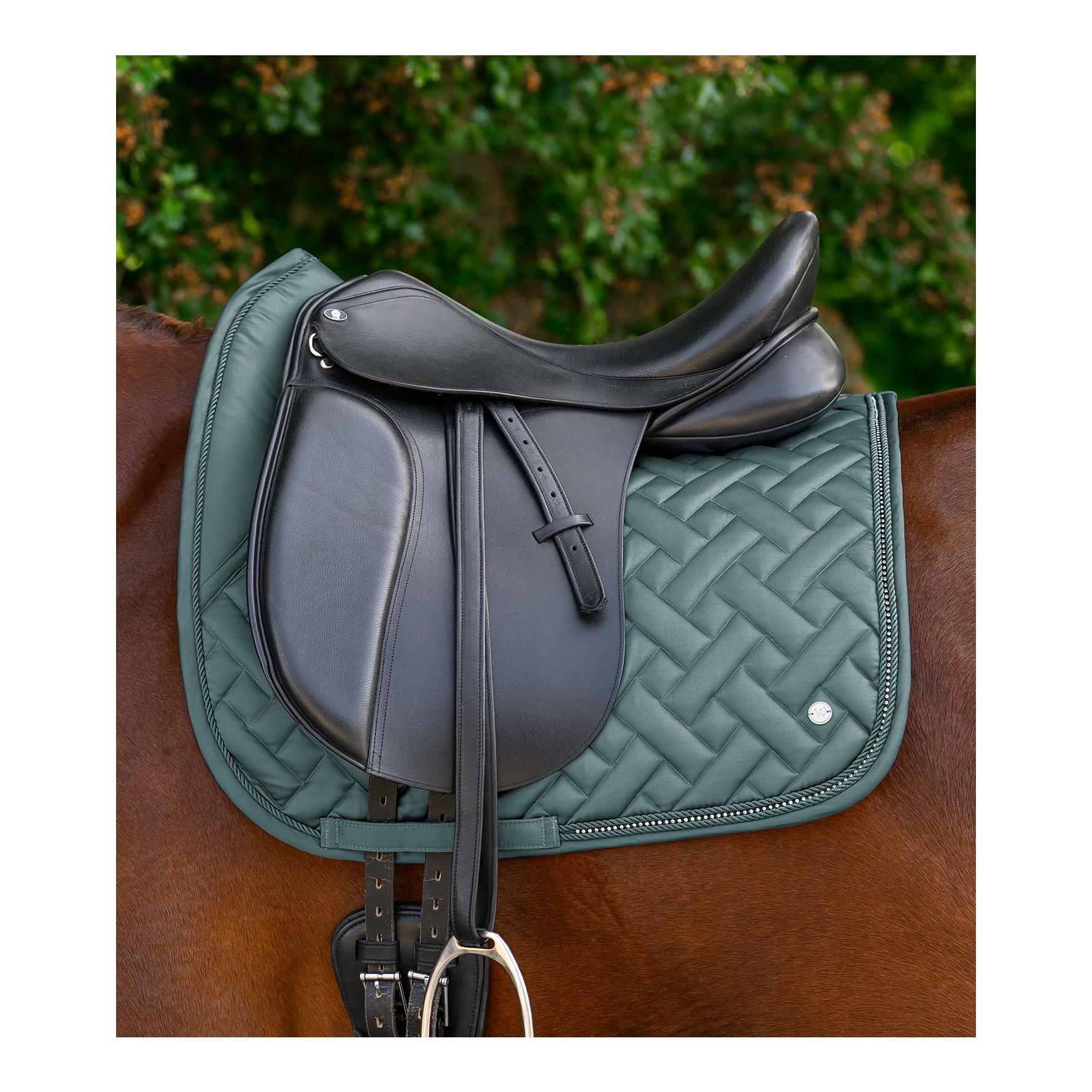 Waldhausen Schabracke Turin