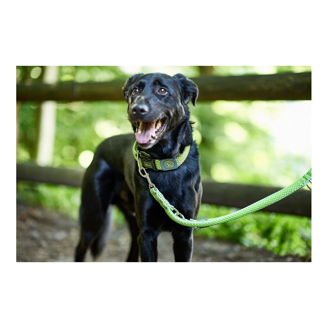 Verstellbare Führleine Hilo - limette