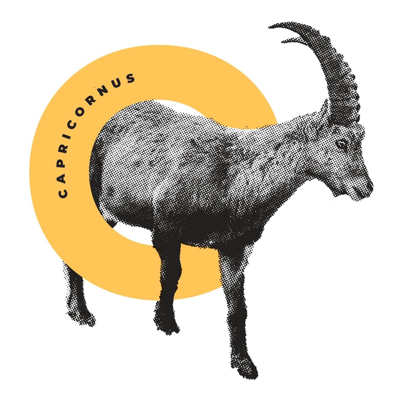 Capricornus Big5 Unisex T-Shirt – heather grey