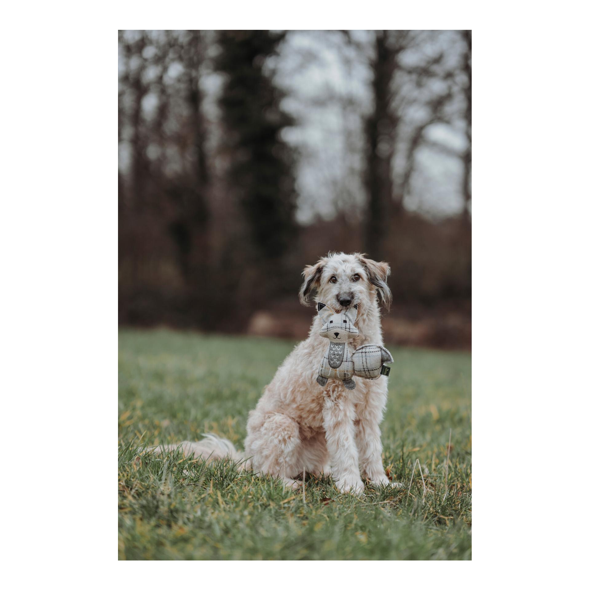 Hundespielzeug Billund Fuchs