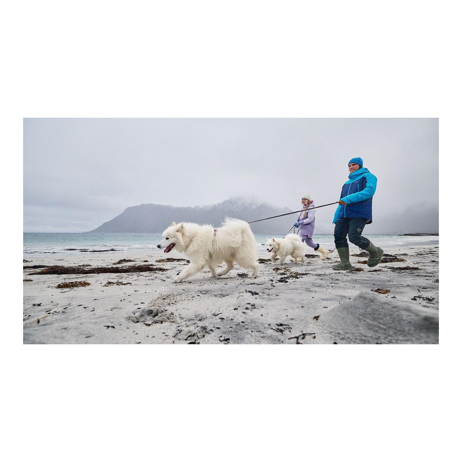 Laisse pour chien Trail Quest Leash Rachel Pohl Edition 