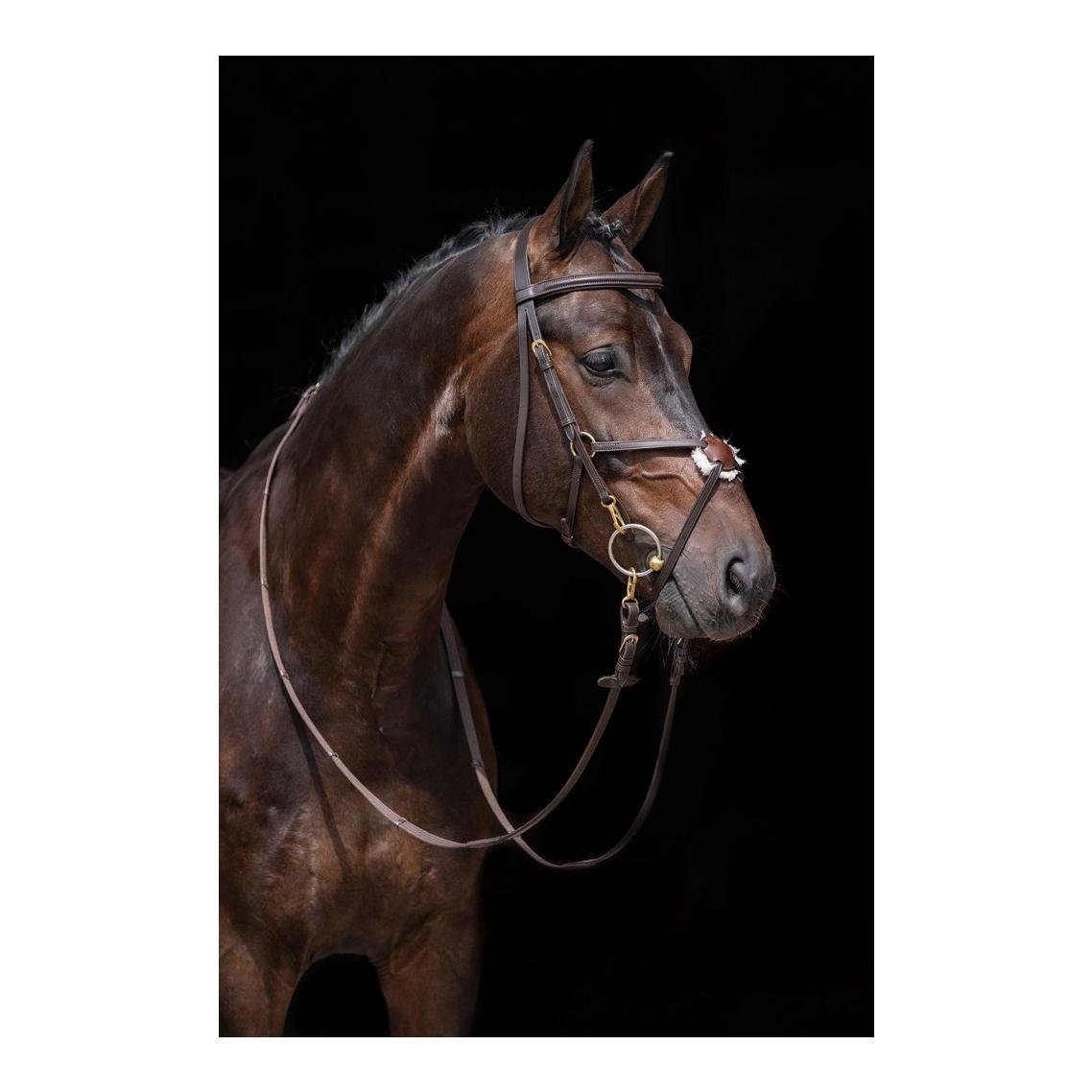 Image of HKM Zaum Mexikanisch - braun bei Hauptner.ch