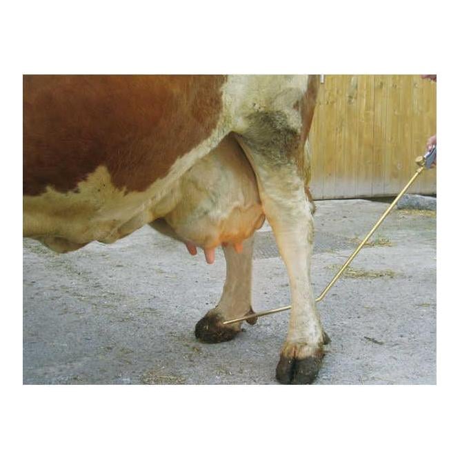 Euterhaarentferner PREVENTA mit Gaskartuschenanschluss