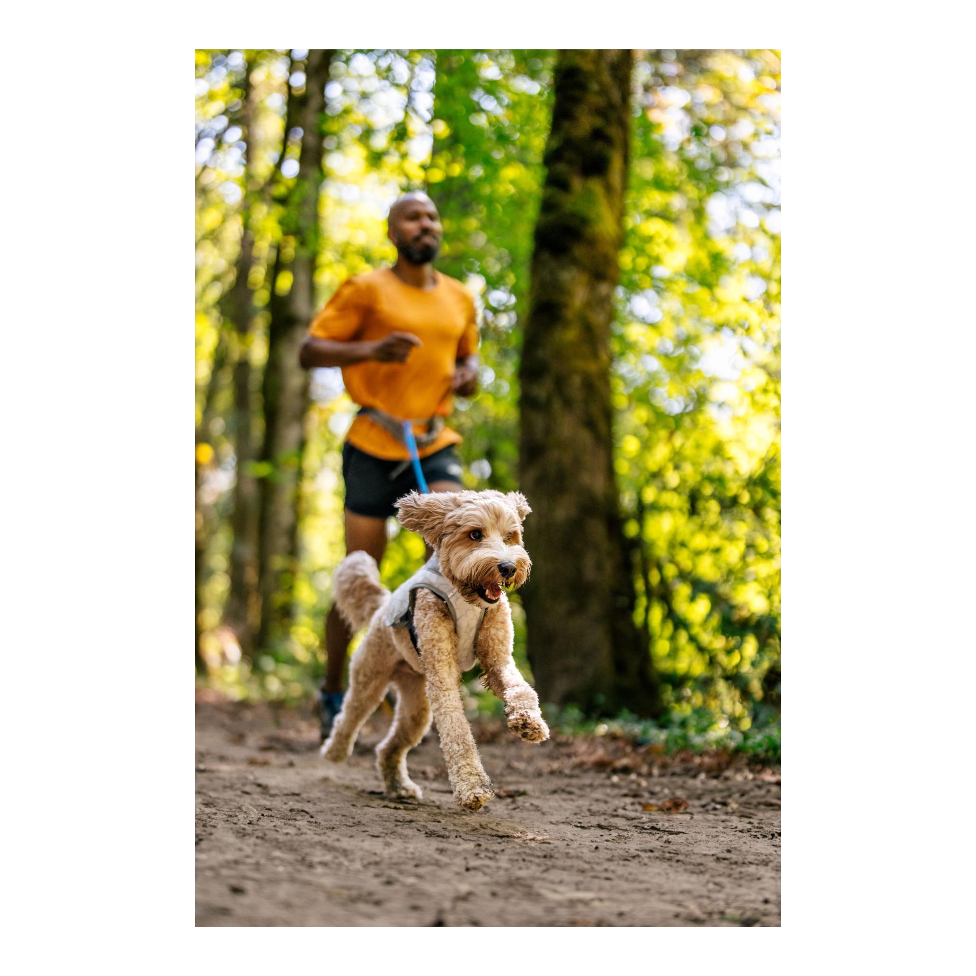 Ruffwear Swamp Cooler™ kühlende Hundeweste