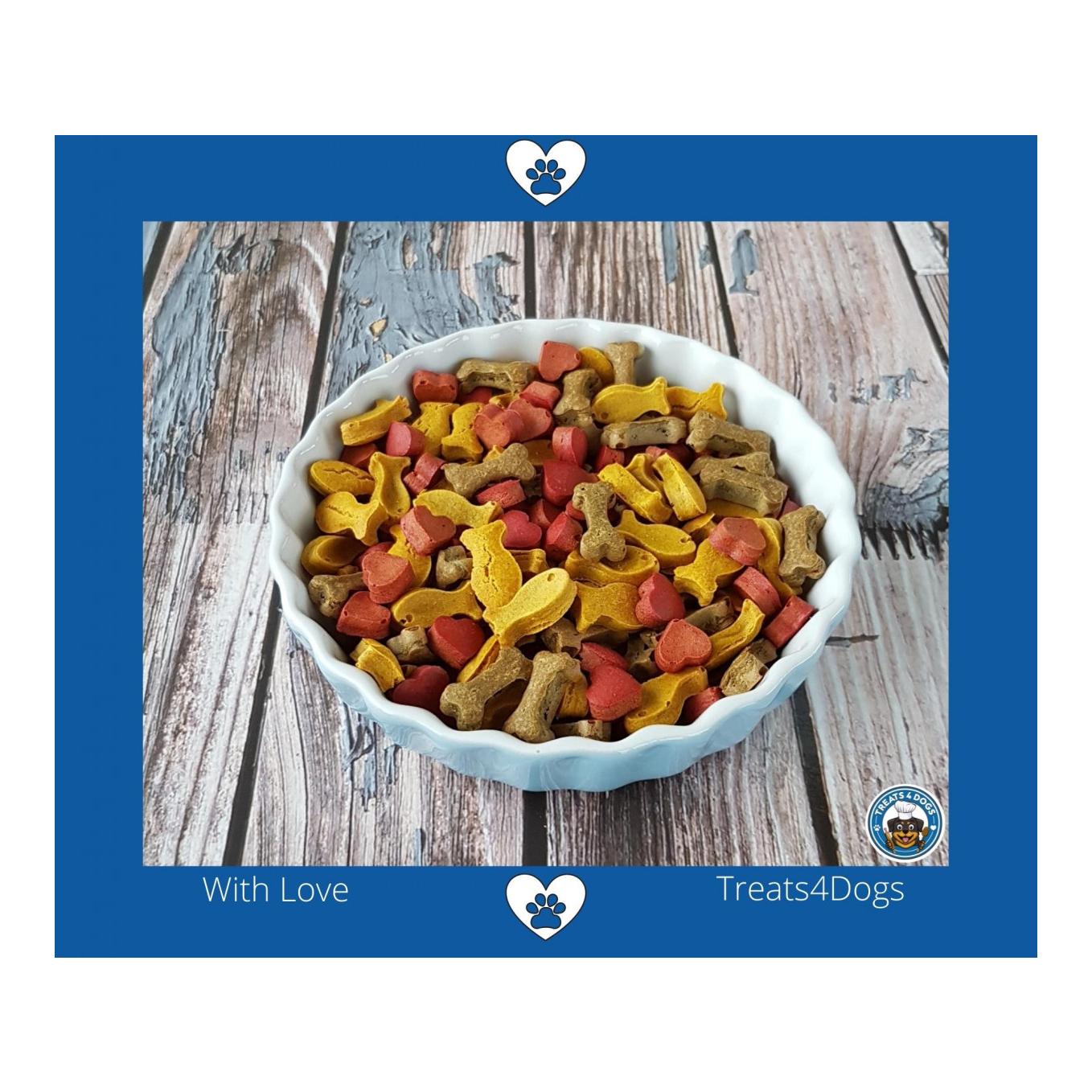 TREATS4DOGS Backmatte Mittlere Fische 2 Stück