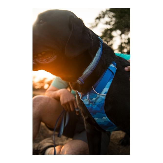 Ruffwear Front Range™ Collier de chien 