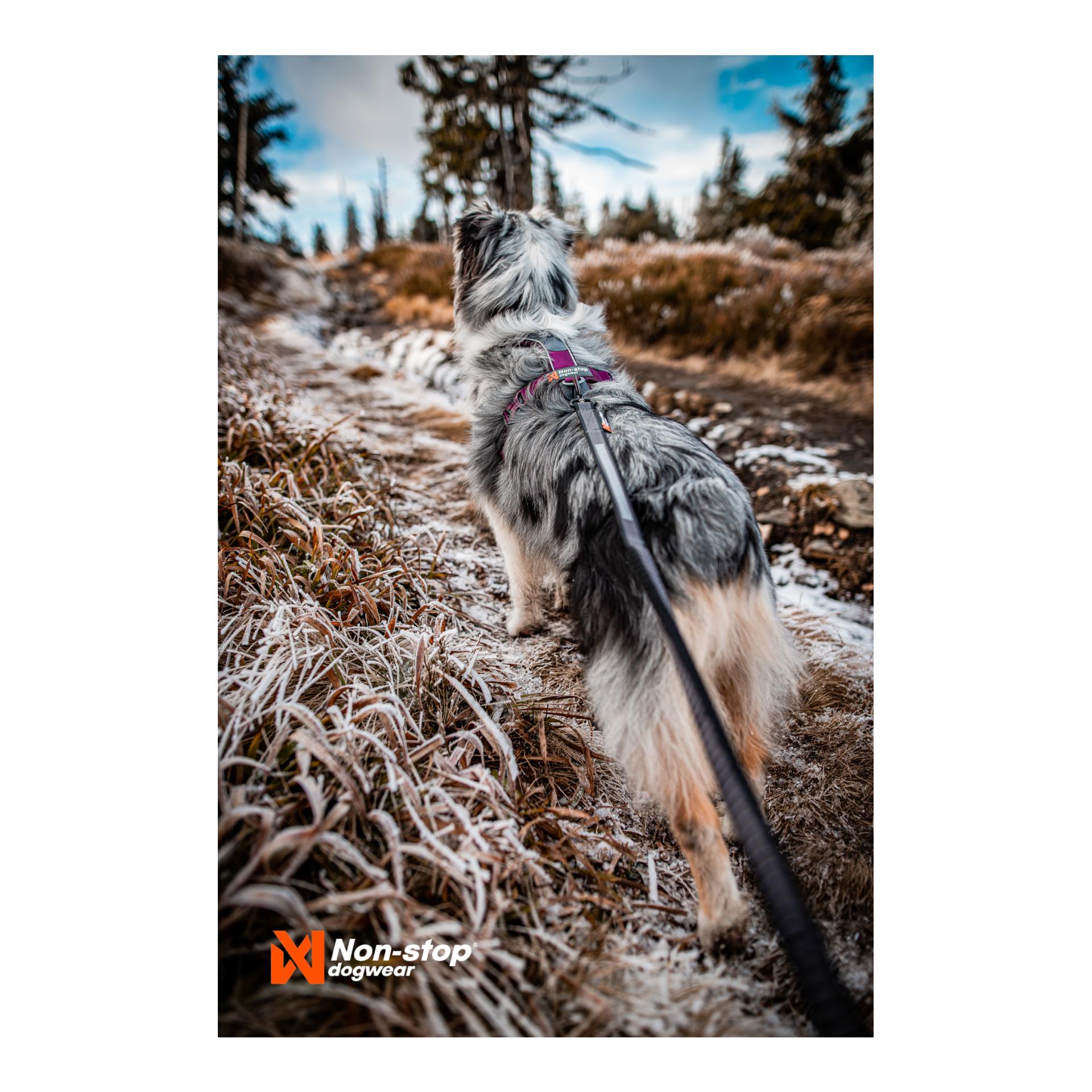 Line Harness 5.0 - purple