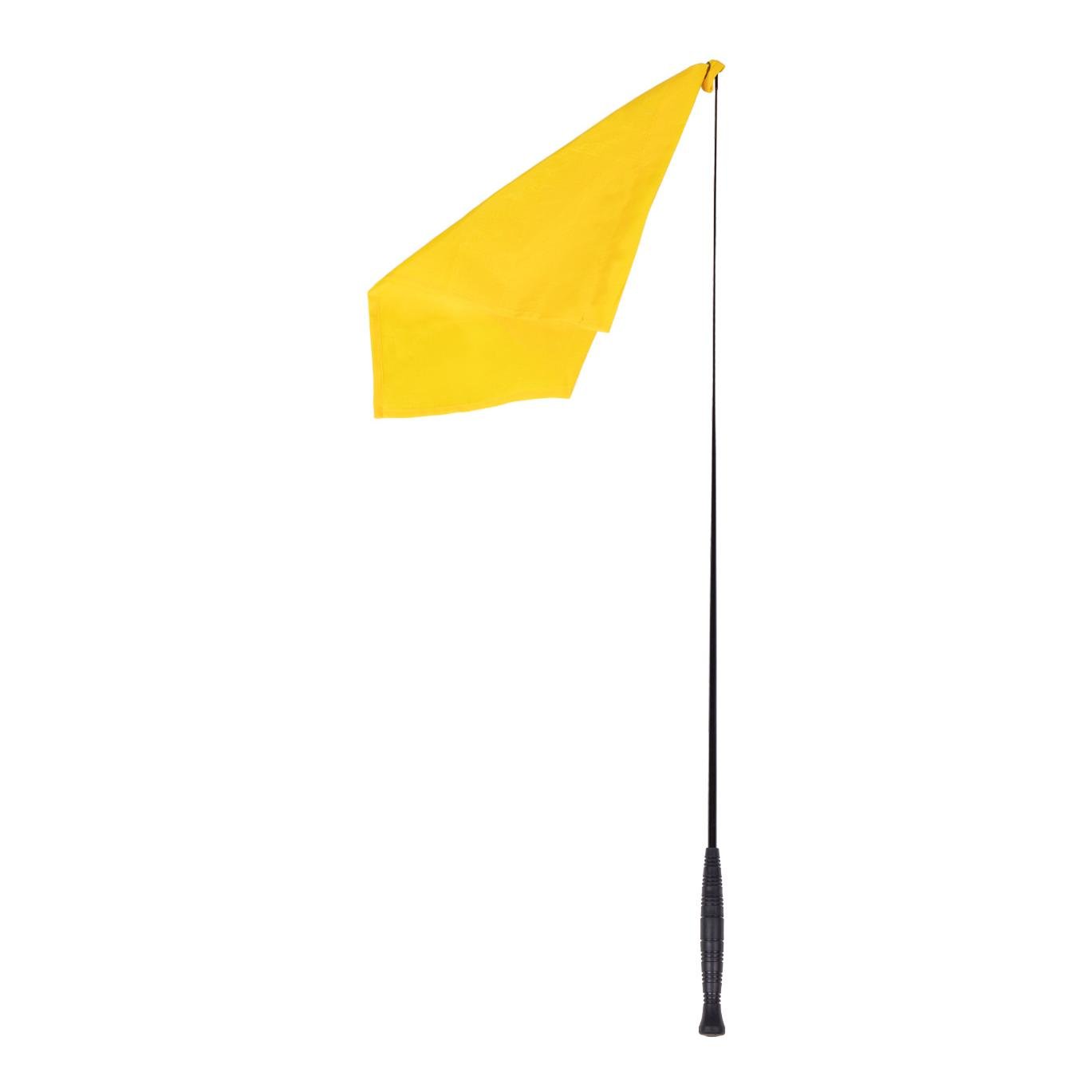 Bâton d'entraînement 