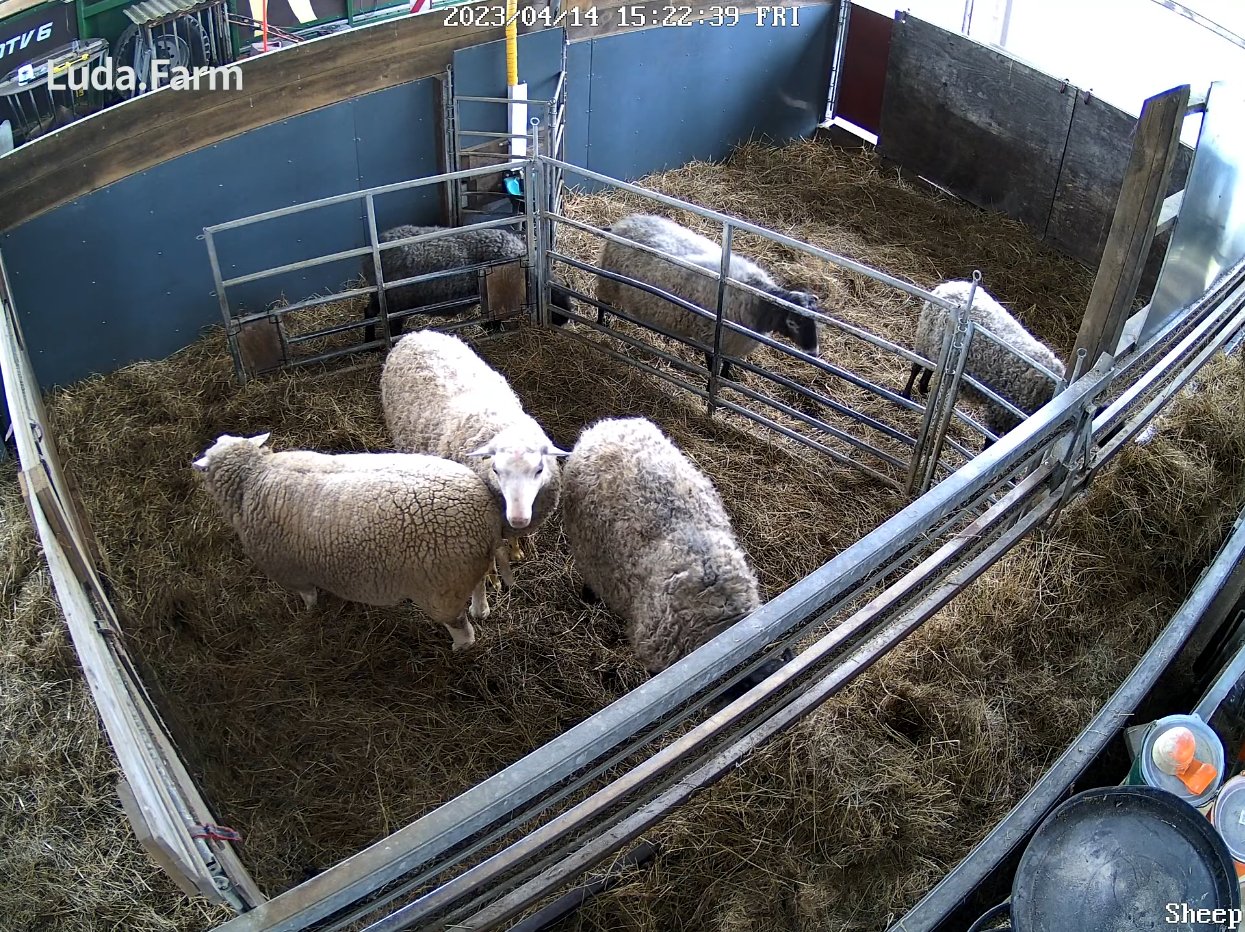 FarmCam Flex 5MP - Kit de démarrage