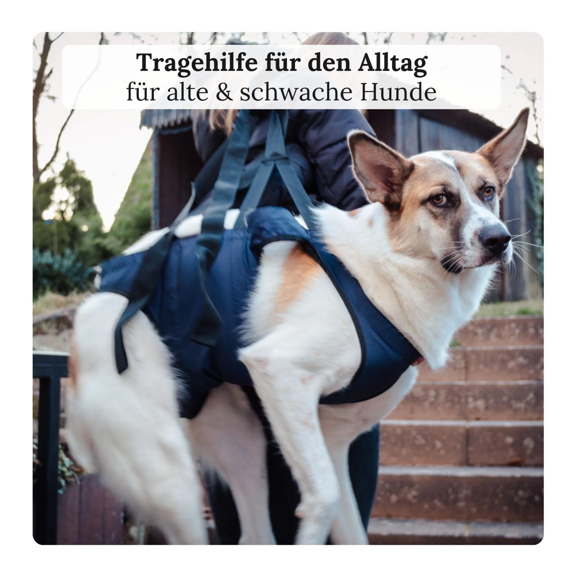Notfallrucksack & Tragehilfe für Hunde 