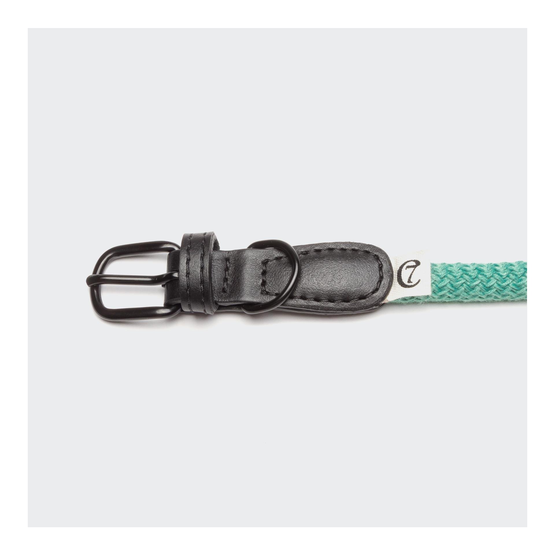 Hundehalsband Mauerpark