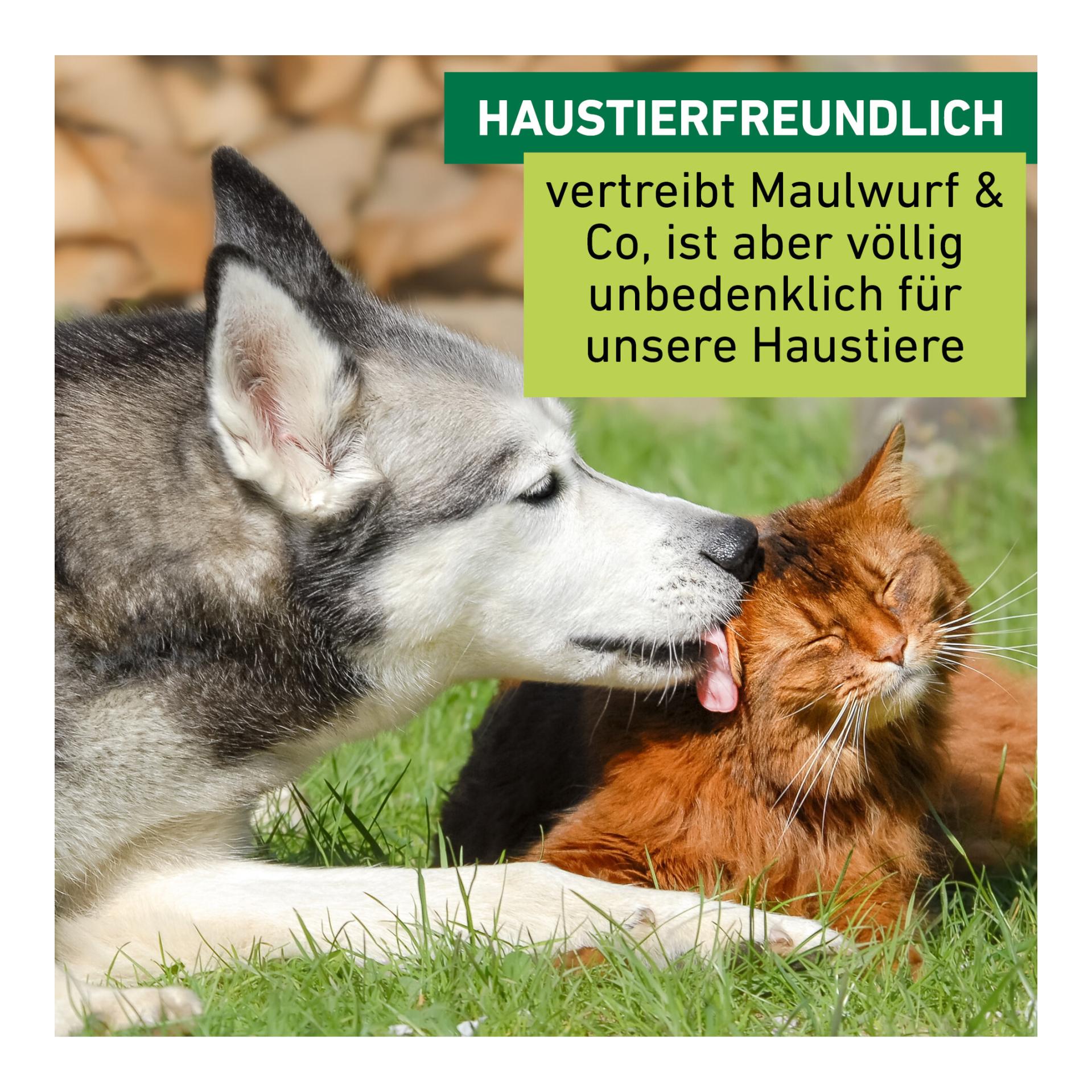 Windhager Wühlmaus- & Maulwurf-Vertreiber Solar