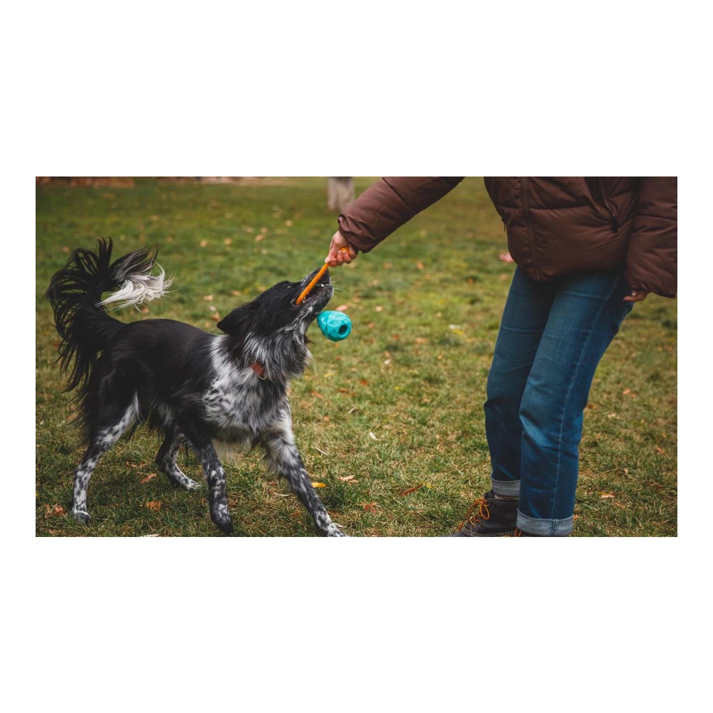 Hundespielzeug Huck-a-Cone