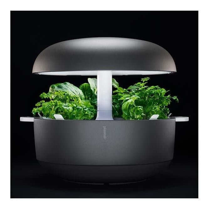 Image of Plantui Smart Garden 6 - grau bei Hauptner.ch