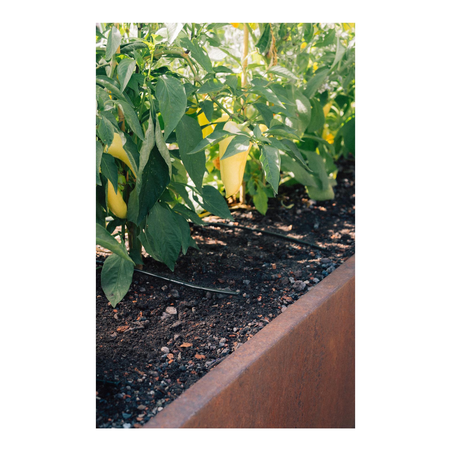 Drip-Set Bewässerung Gemüse und Blumenbeete