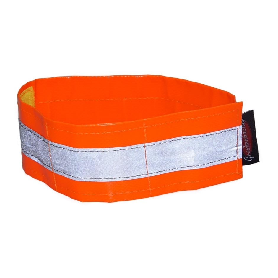 Leuchthalsband Charly