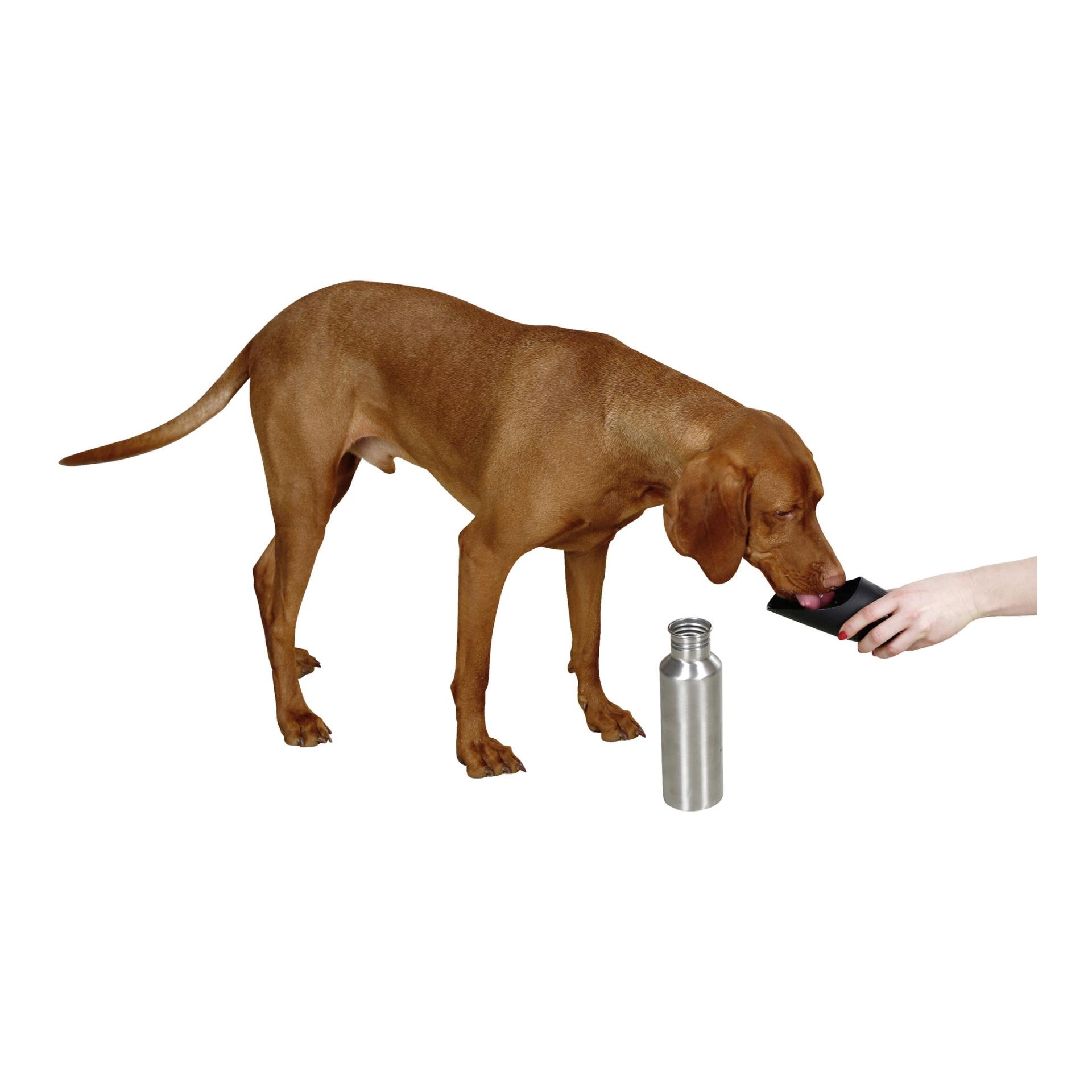 Edelstahl Reisetrinkflasche inkl. Trinknapf- 750 ml