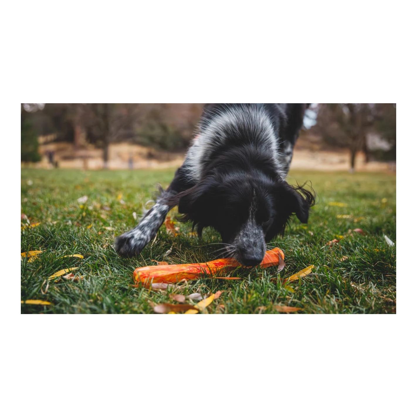 Hundespielzeug Gnawt-a-Stick