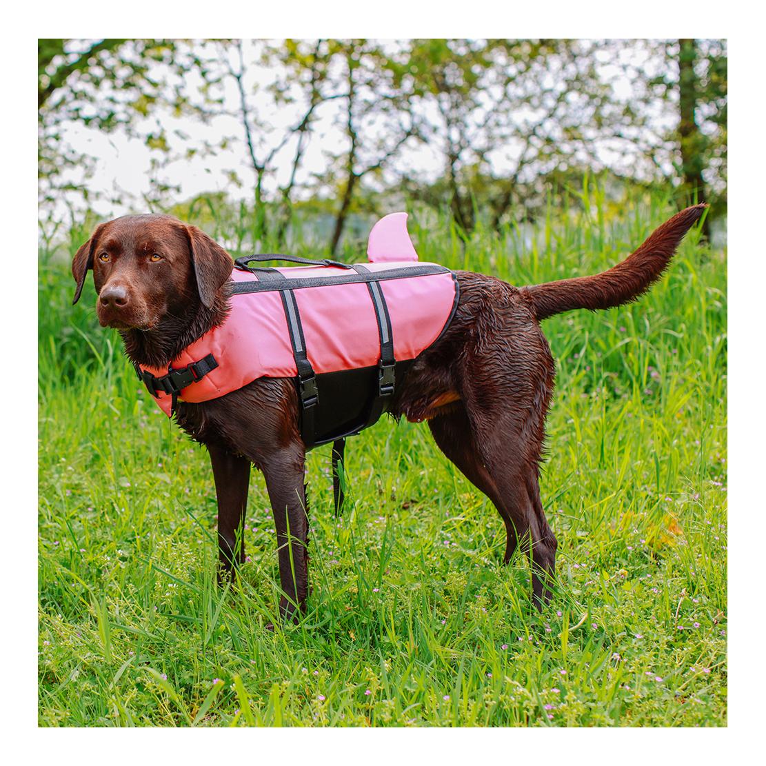 Aide à la natation pour chiens Shark