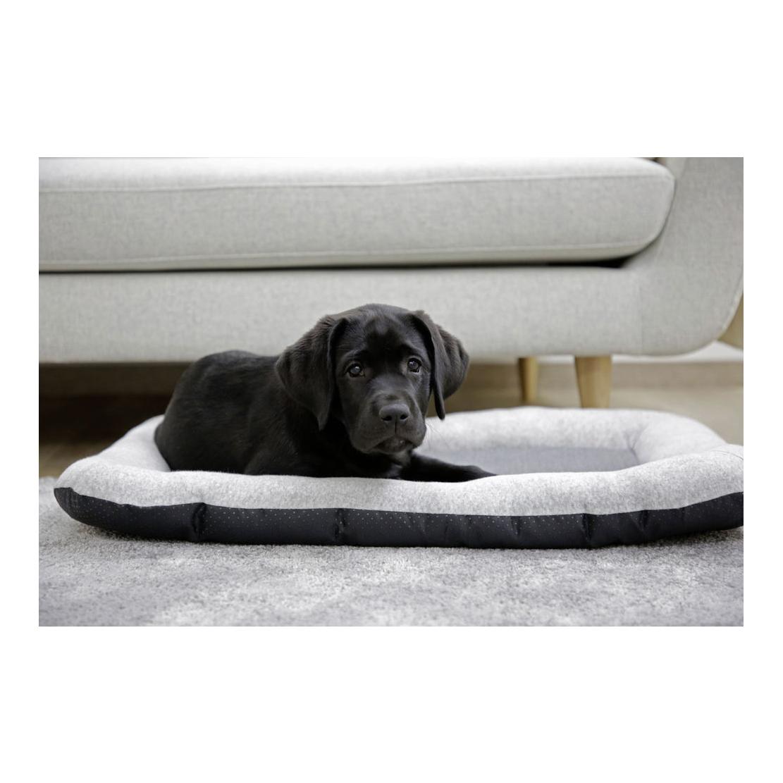 Image of Kerbl Liegebett Graphene - grau bei Hauptner.ch