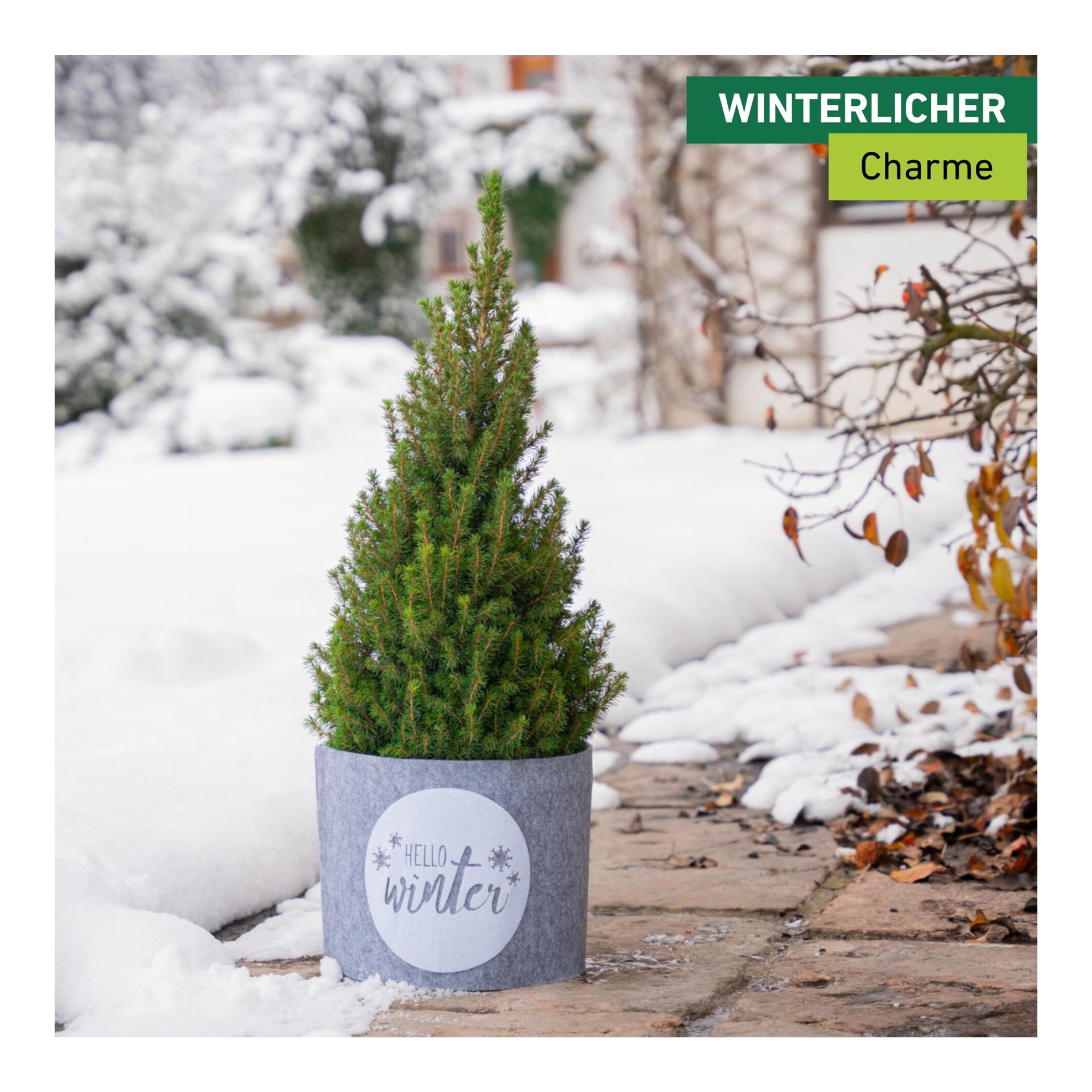 Deko-Filz-Topfschutz HELLO WINTER