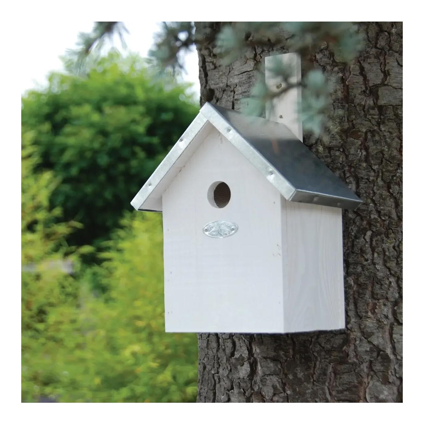 Nistkasten Blaumeisen