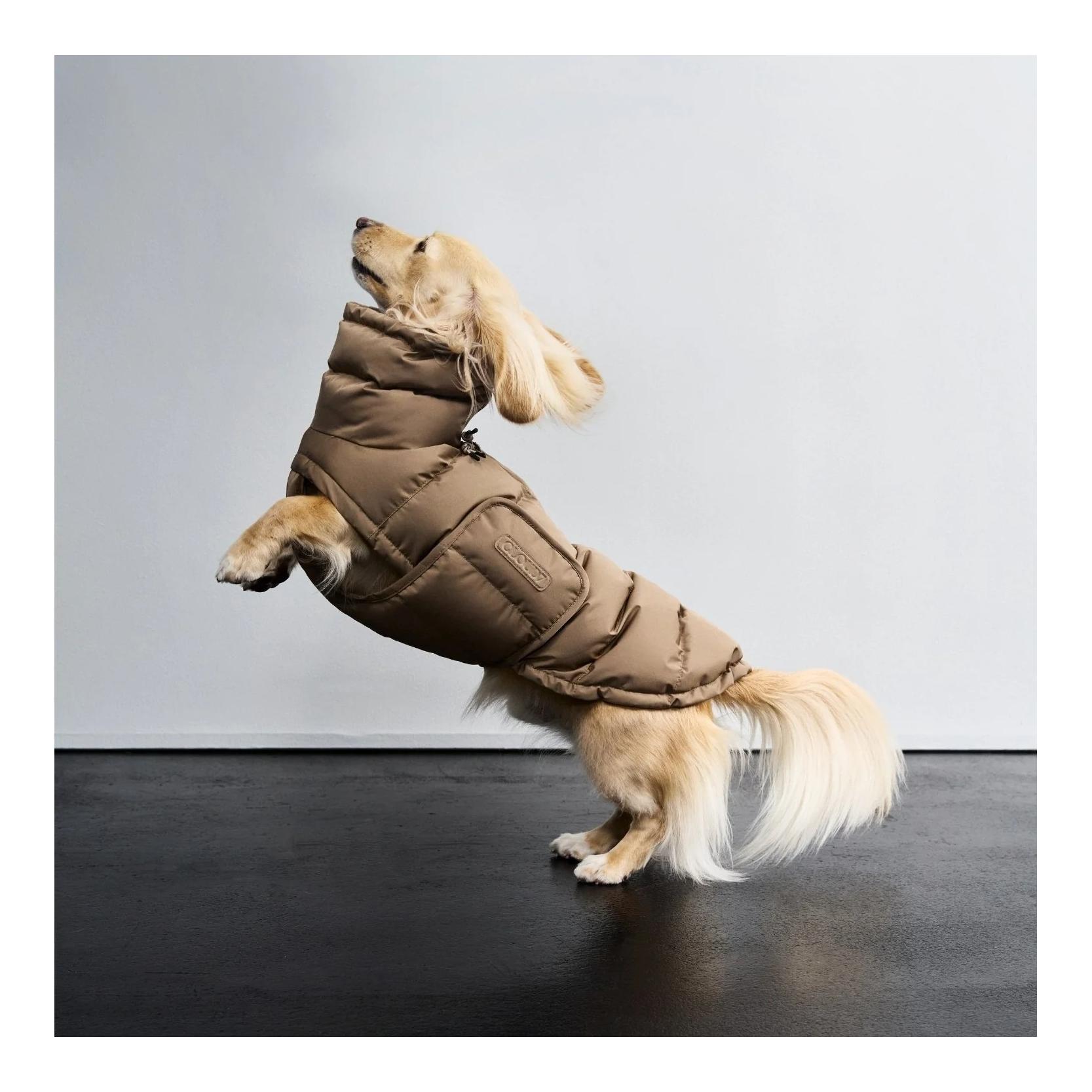 Winter Hundemantel Alaska Dackel