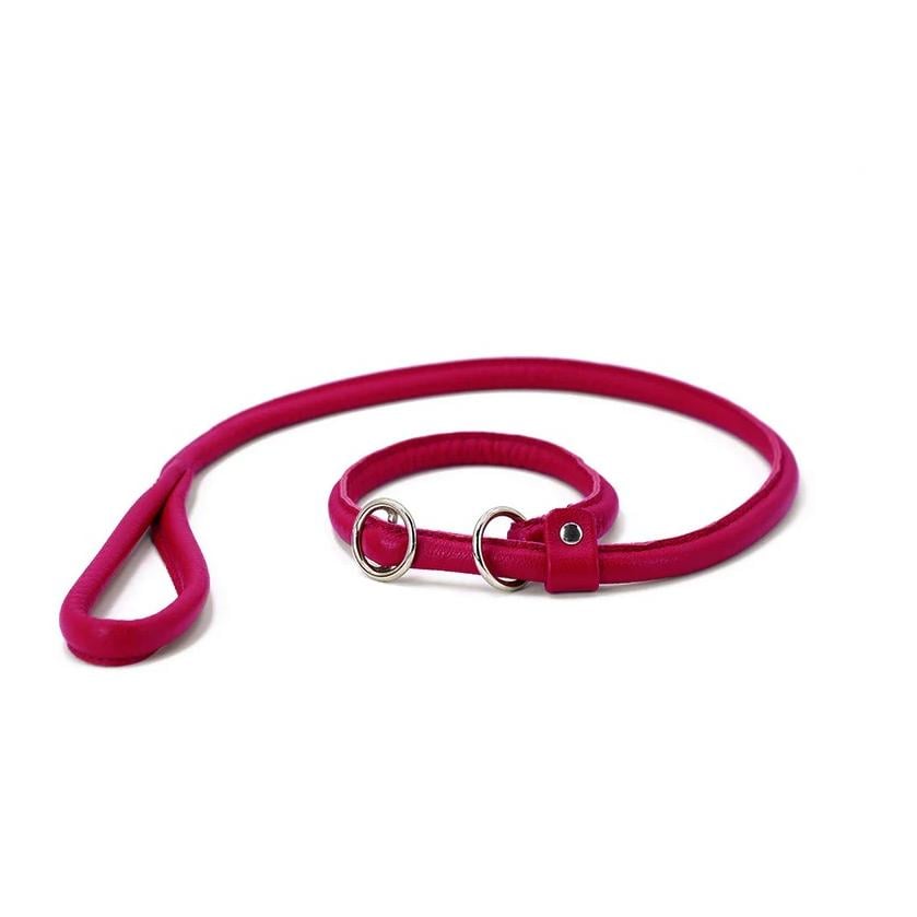 Retriever - Leine Lipstick