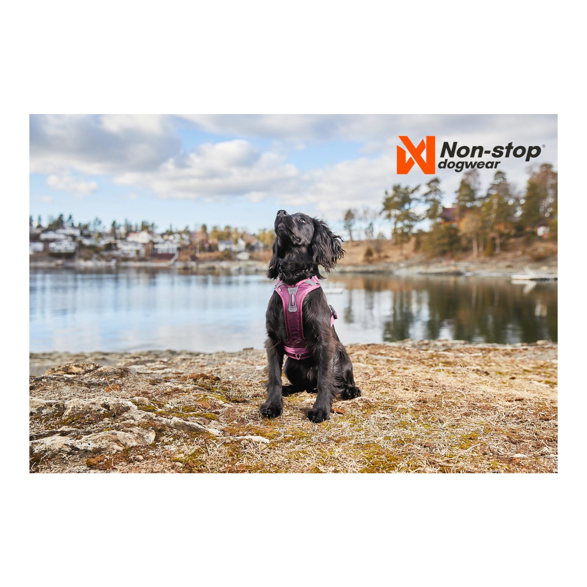 Ramble Harness - purple