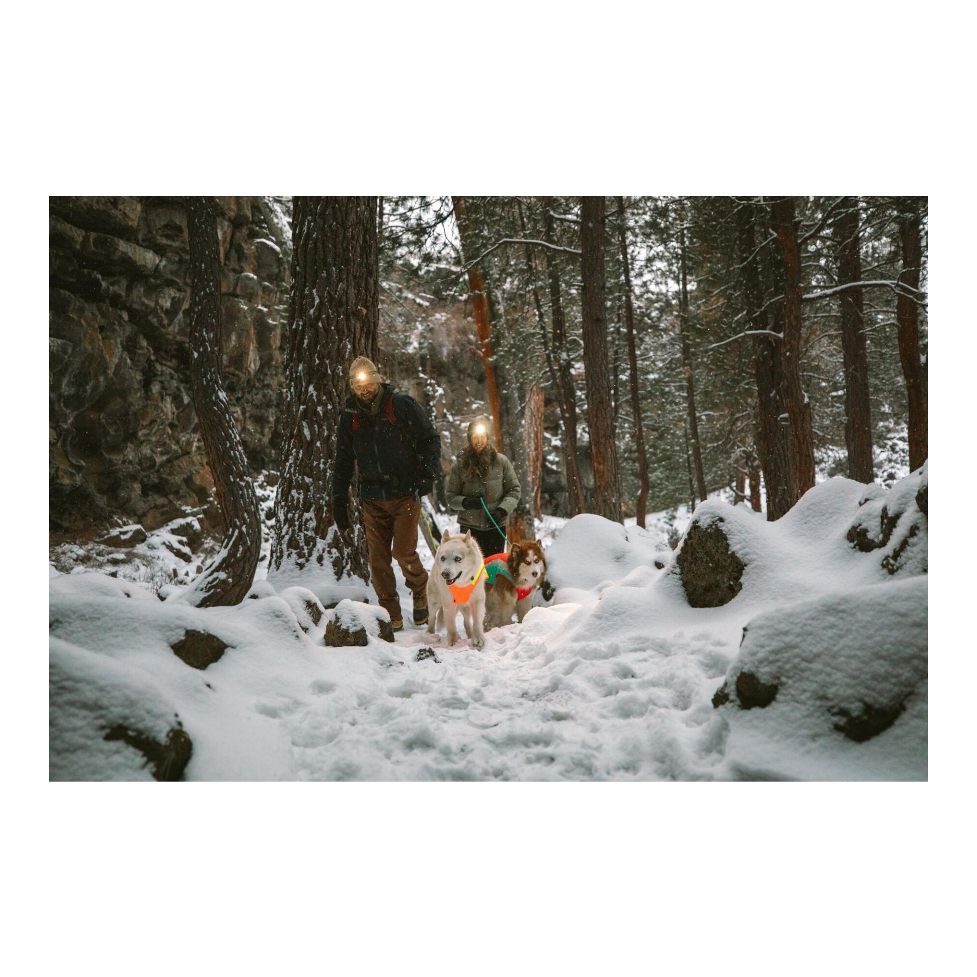 Lumenglow™ Hi-Viz Jacket Hundejacke - blaze orange