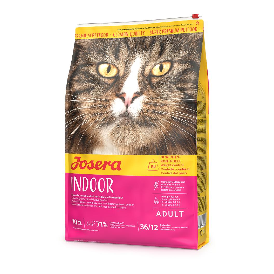 Indoor Cat